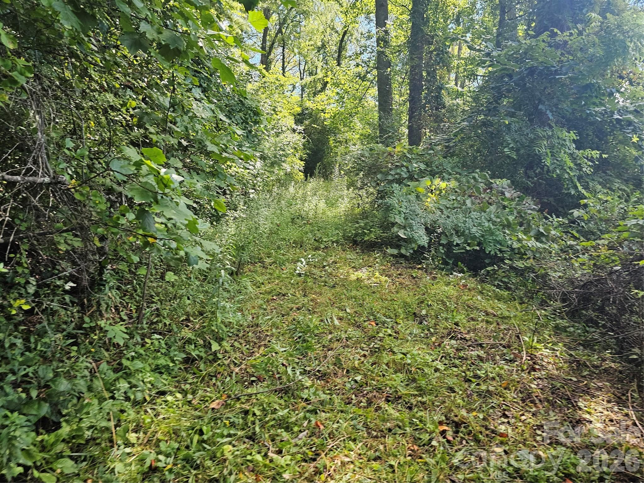 Near end of property - Asheville