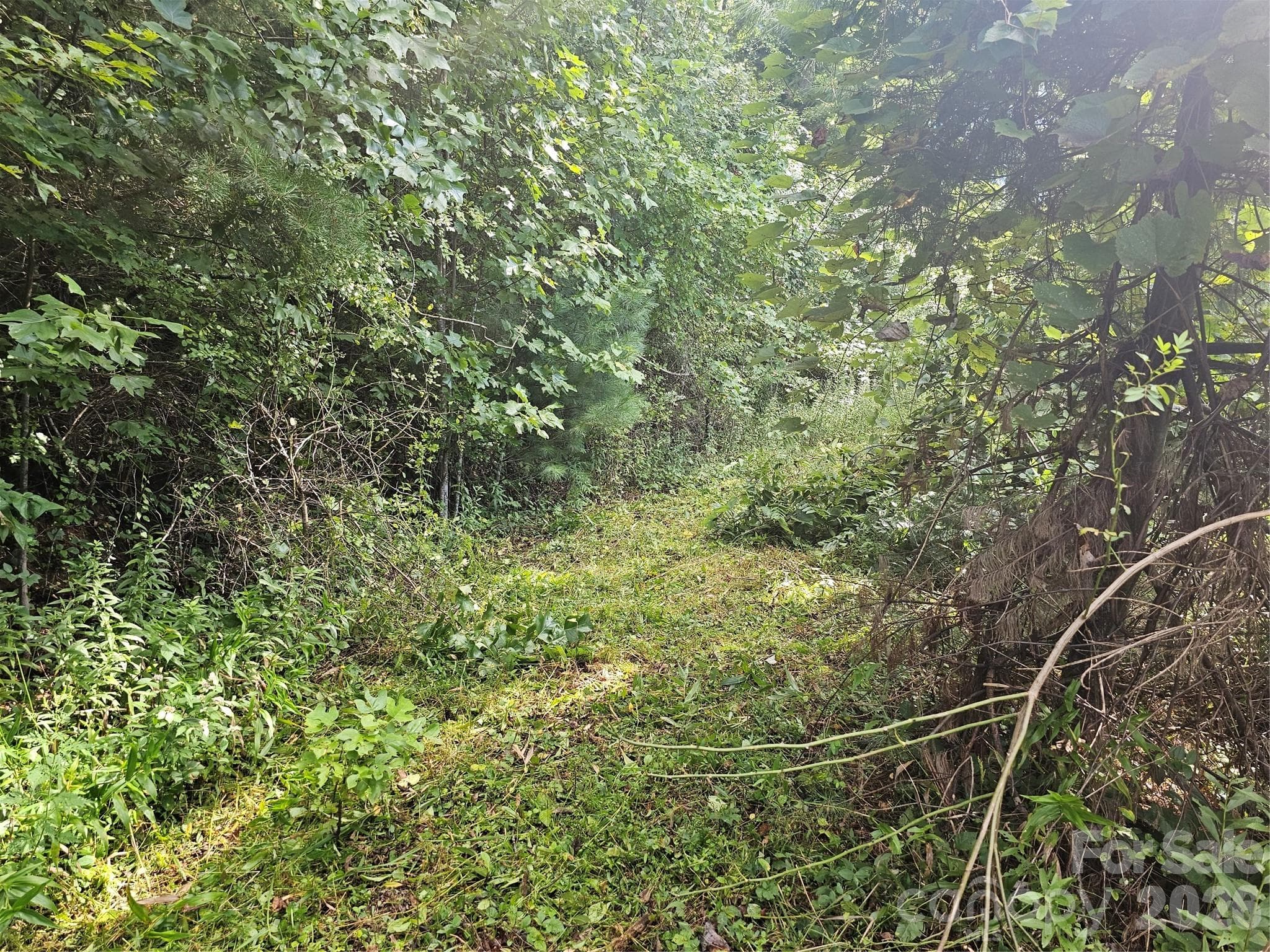 gentle rise of driveway - Asheville