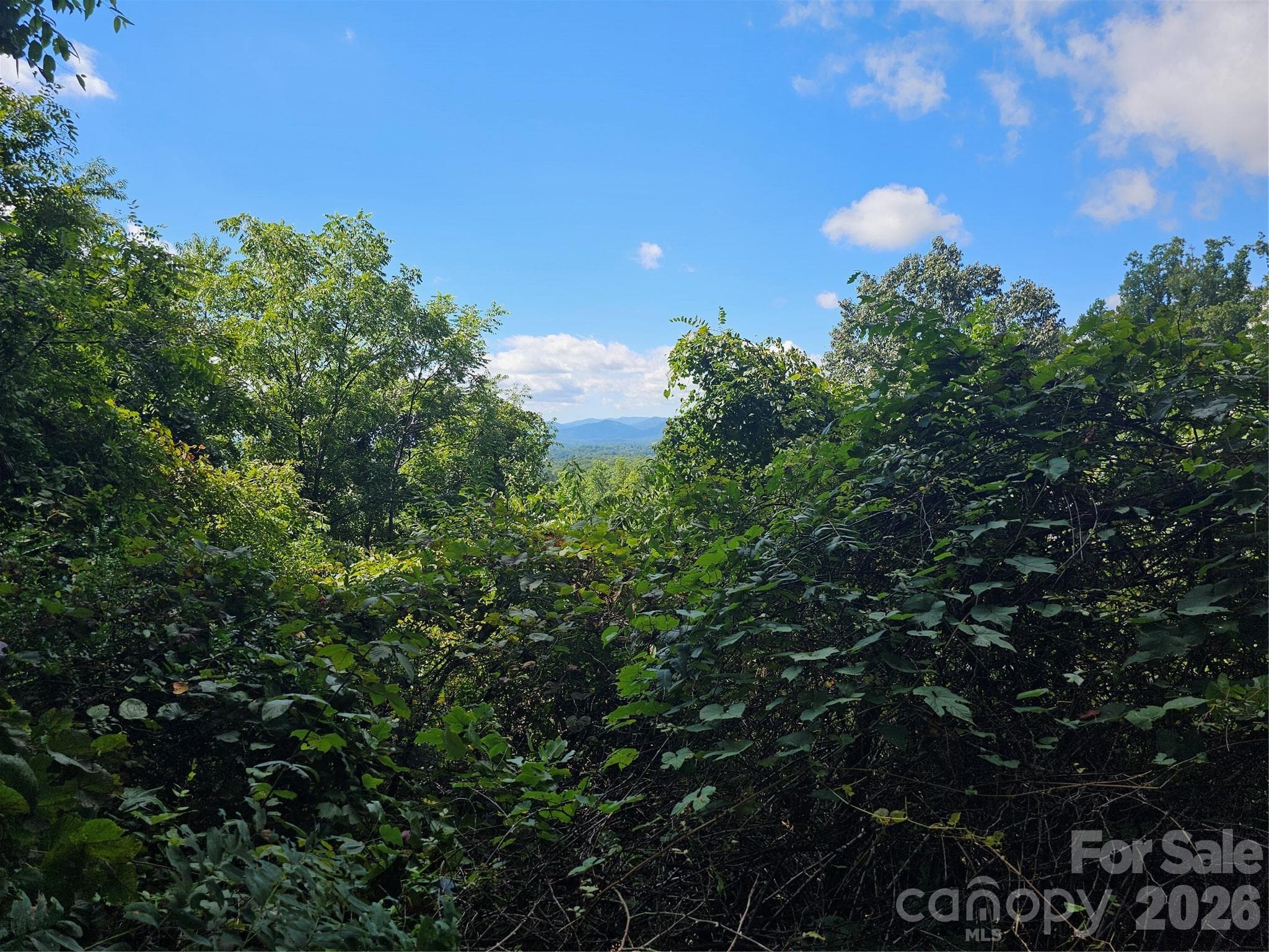 Long range views from back of property gives view control - Asheville