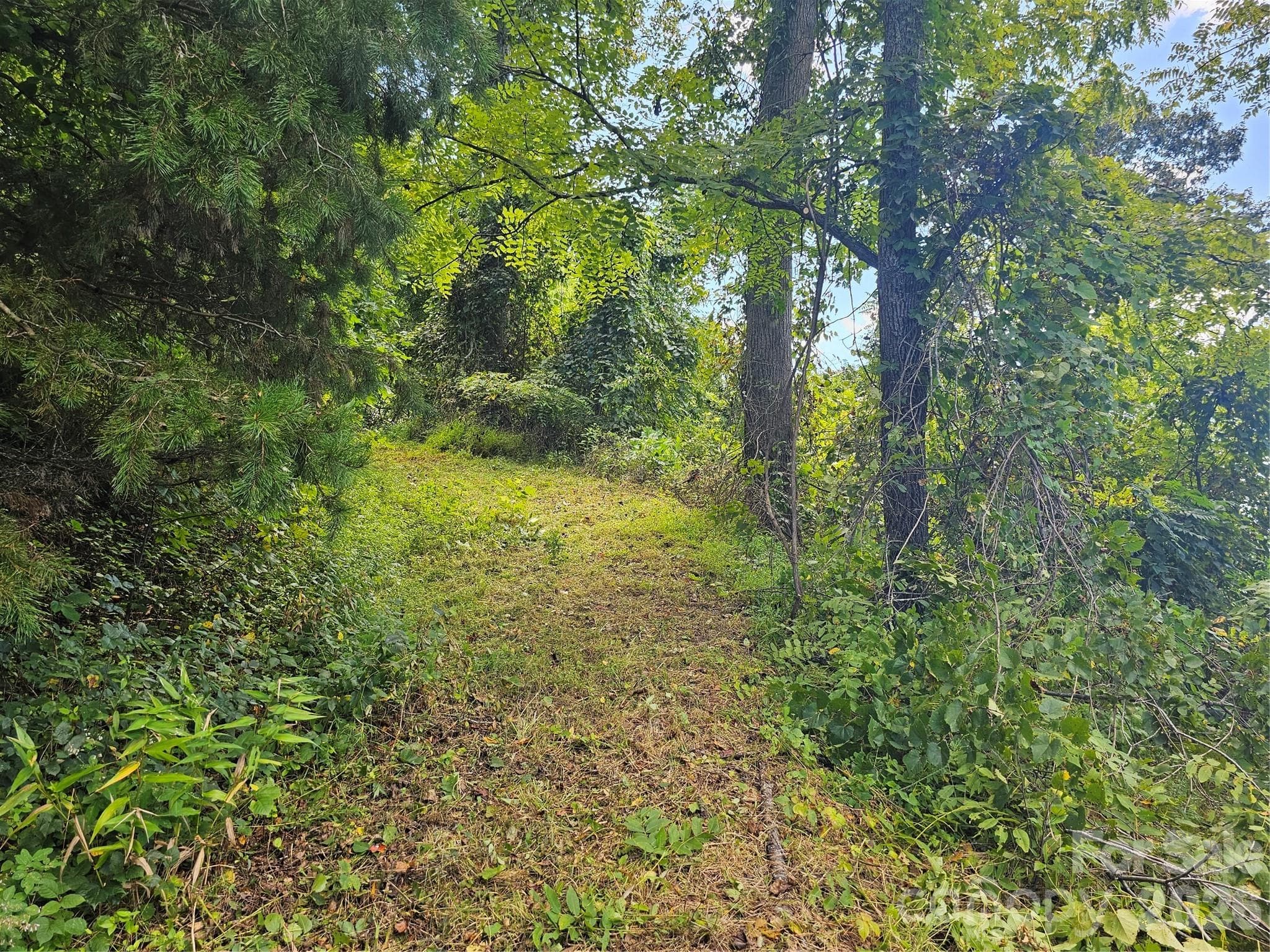 Old gravel drive in place - Asheville
