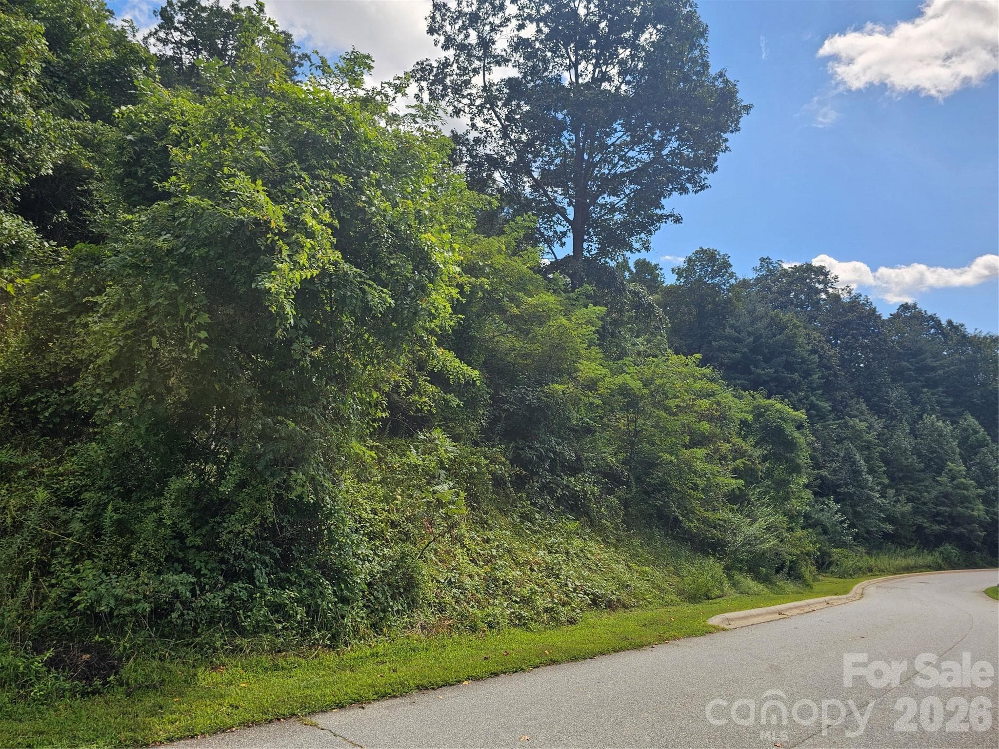 Destination Drive Frontage - Asheville