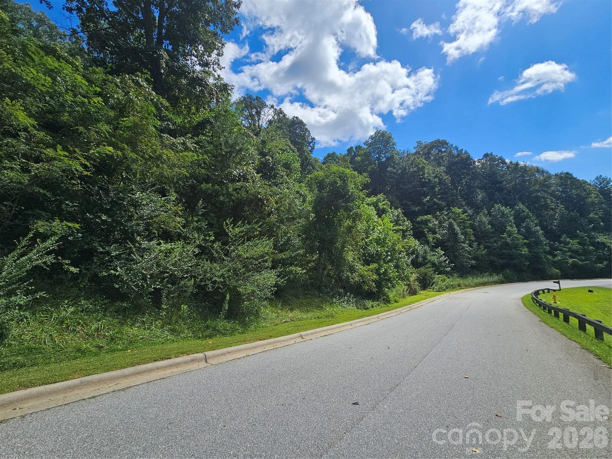 road frontage and view control - Asheville