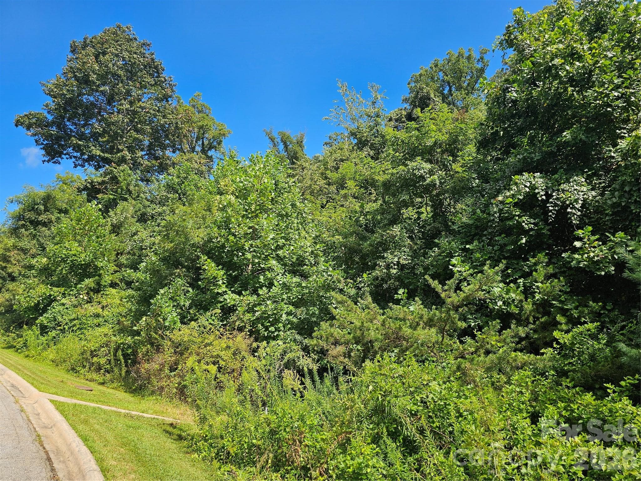 view of property from the lower end of the property - Asheville