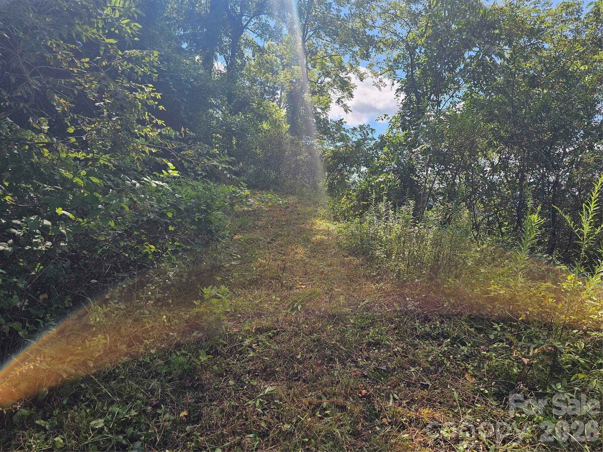 Lot at Asheville, photo 50 of 84