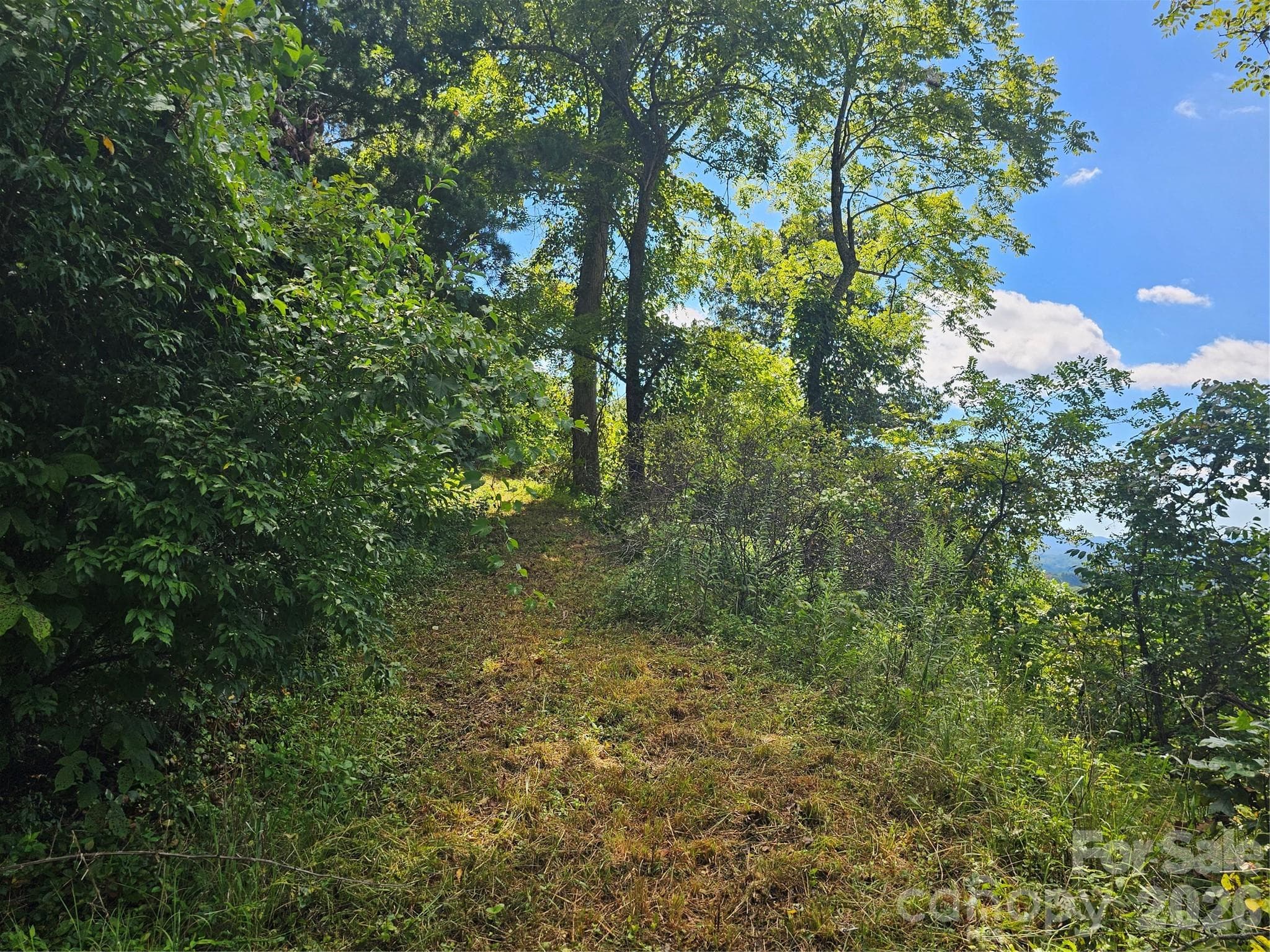 Lot at Asheville, photo 52 of 84