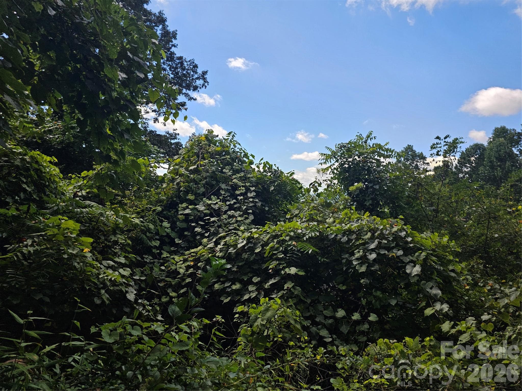 Lot at Asheville, photo 56 of 84