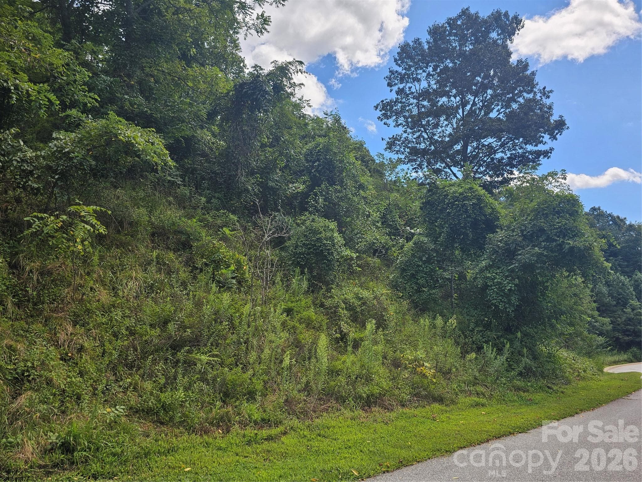 Destination Dr Frontage - Asheville