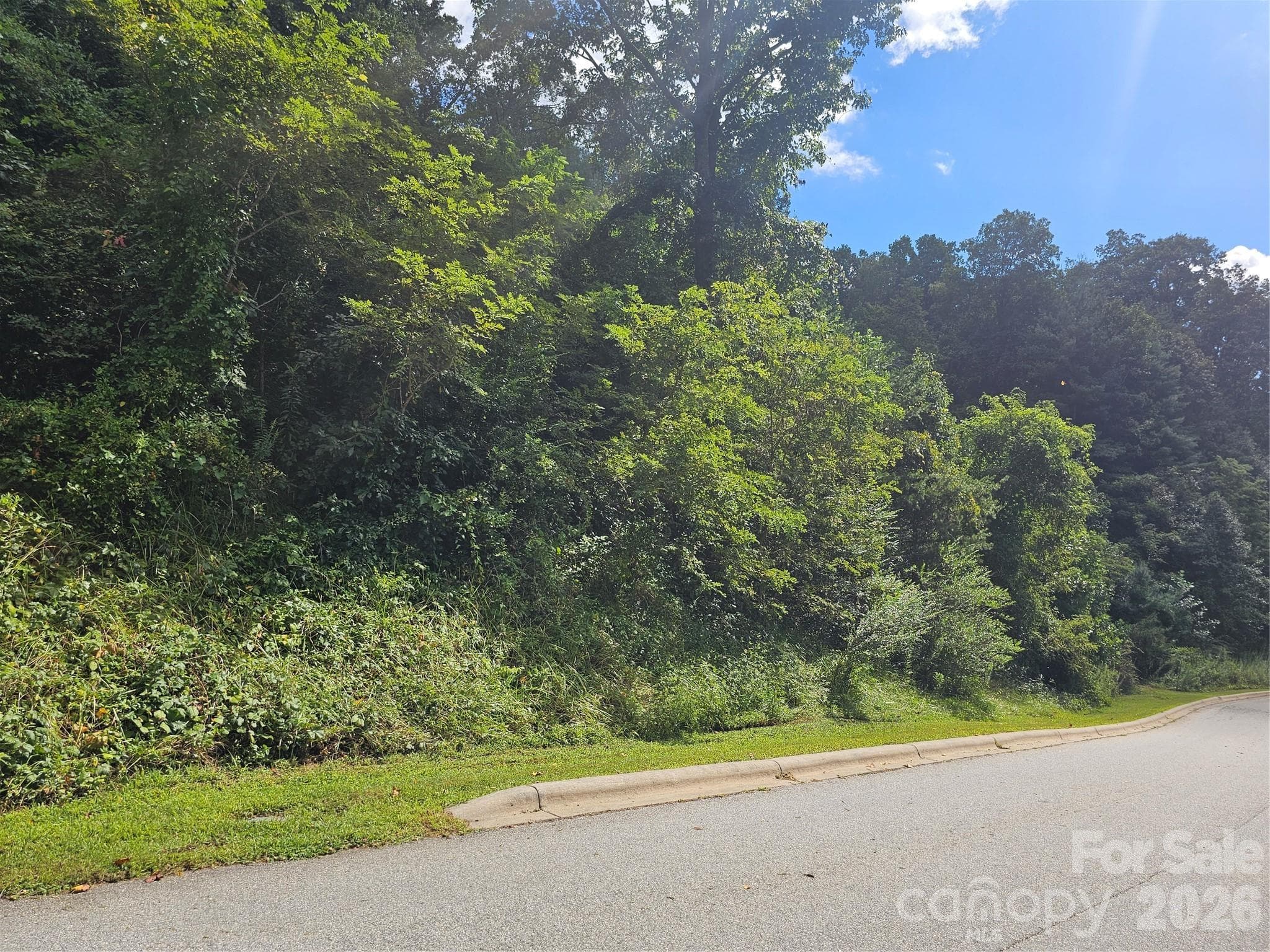 Lot at Asheville, photo 60 of 84