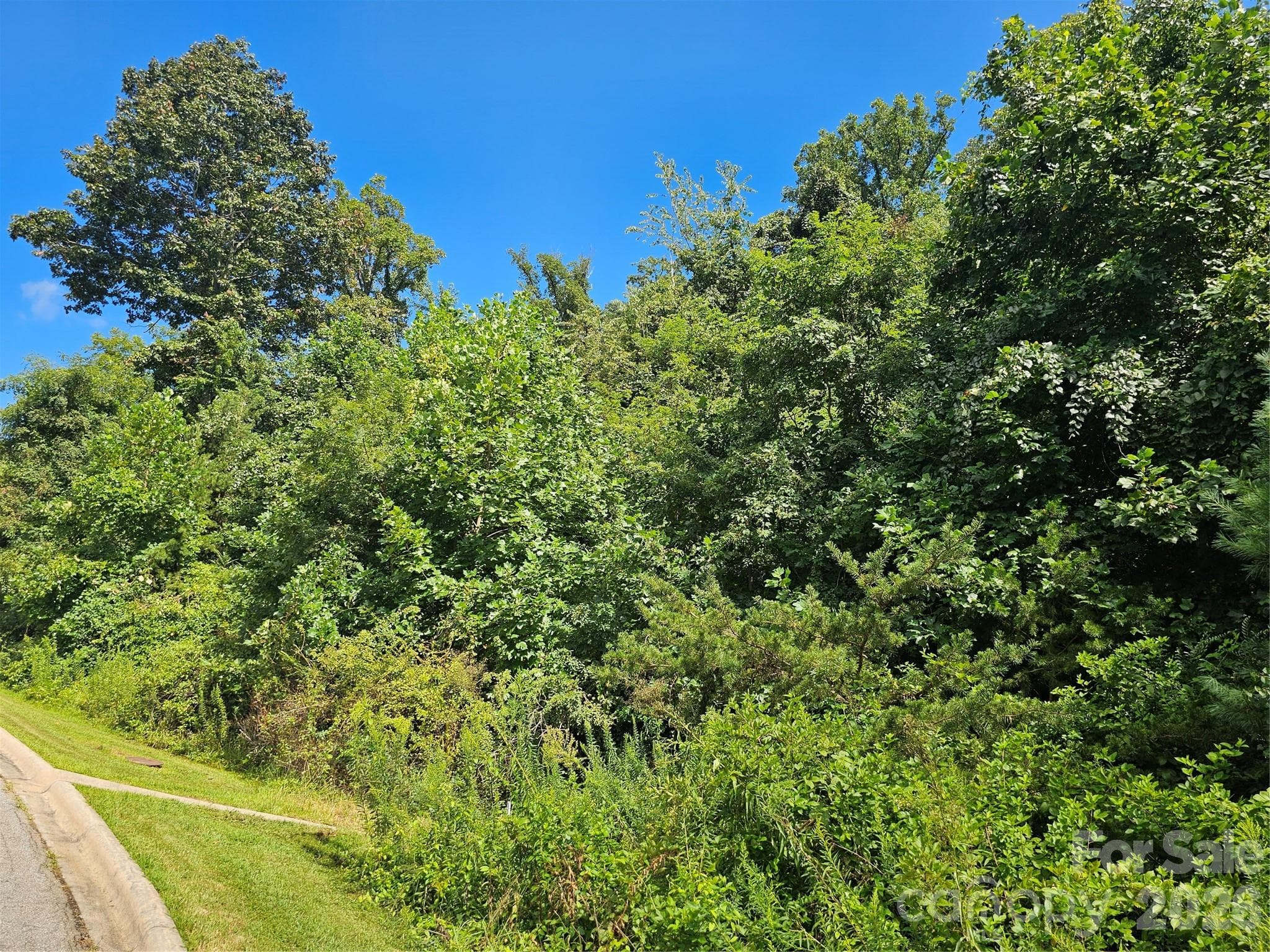 Lot at Asheville, photo 62 of 84