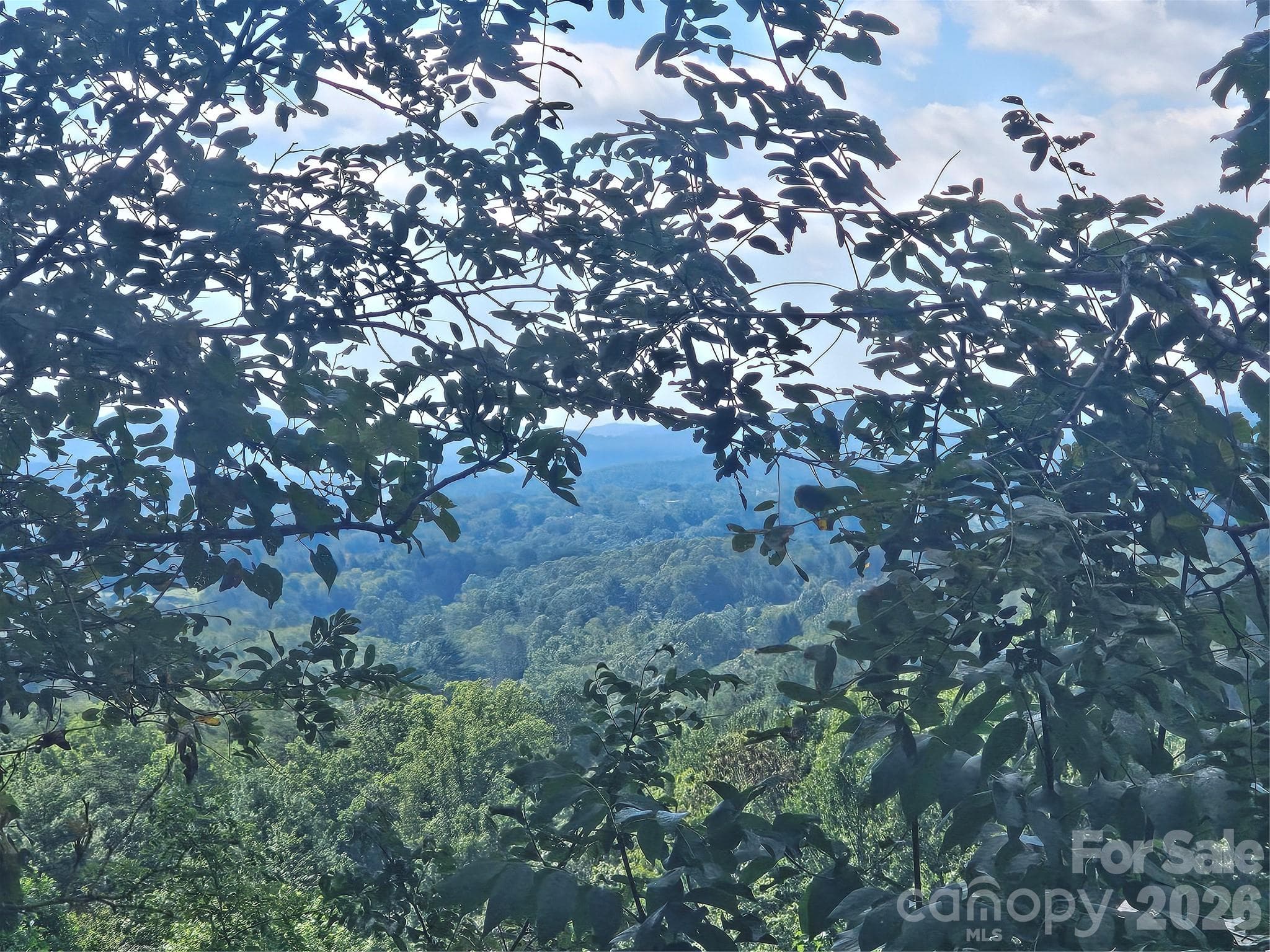 Long range views from property - Asheville