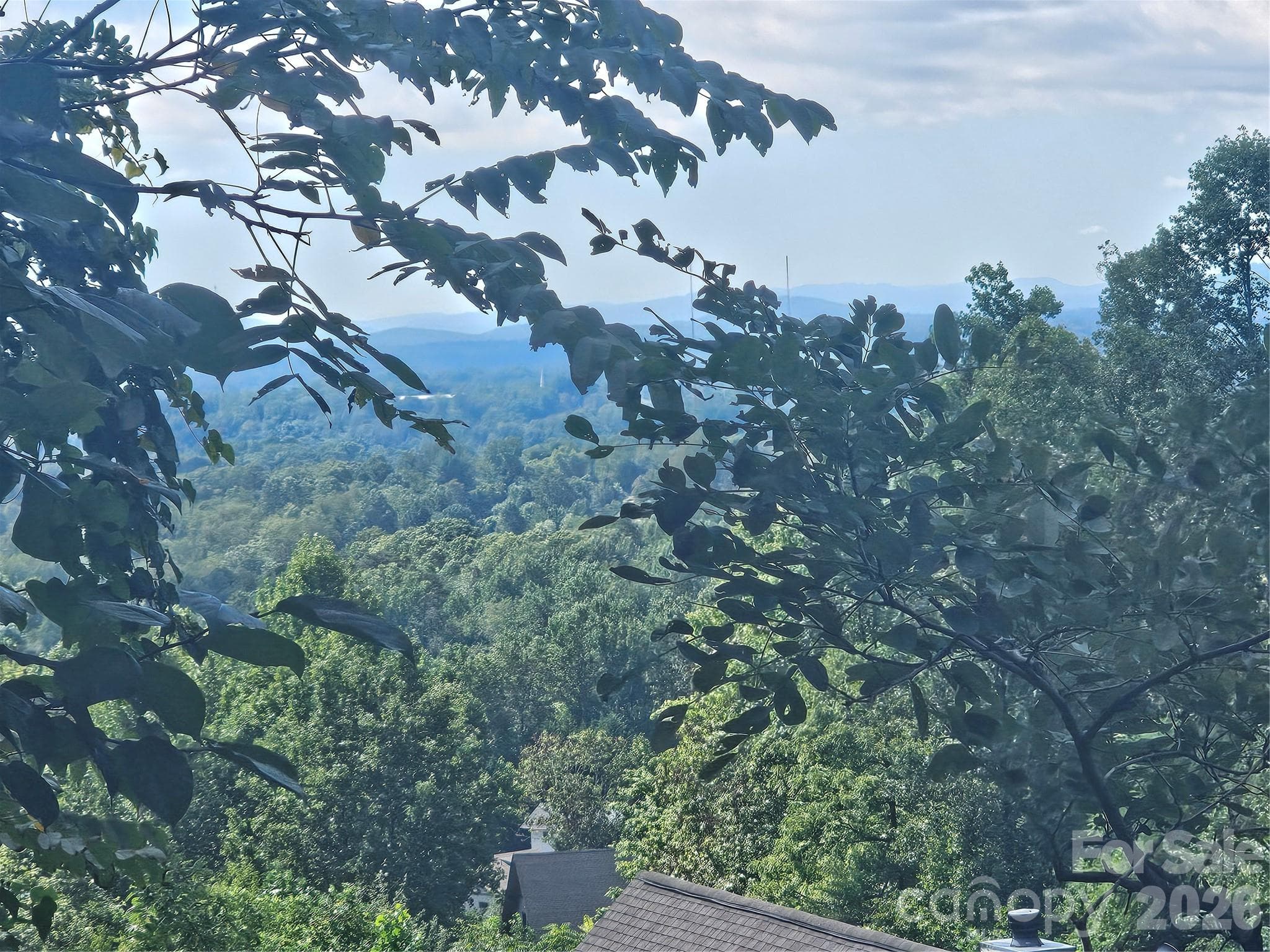 views of Enka clock and water tower in the distance - Asheville