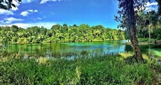 RAINBOW RIVER AT RAINBOW SPRINGS STATE PARK - 7910 SW 202ND CT, DUNNELLON