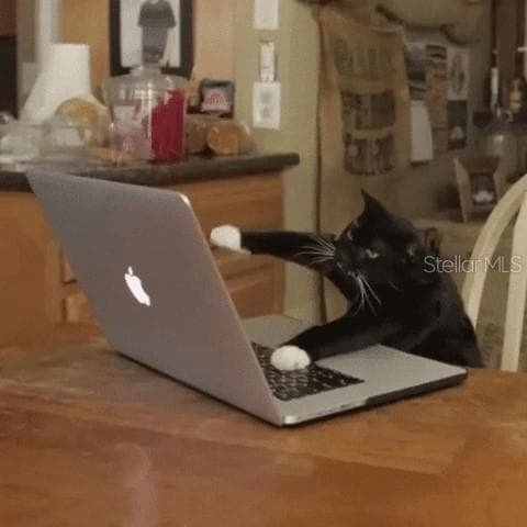 "Fritz".. fixin' His PC that's on the FRITZ..lol!! - 7910 SW 202ND CT, DUNNELLON