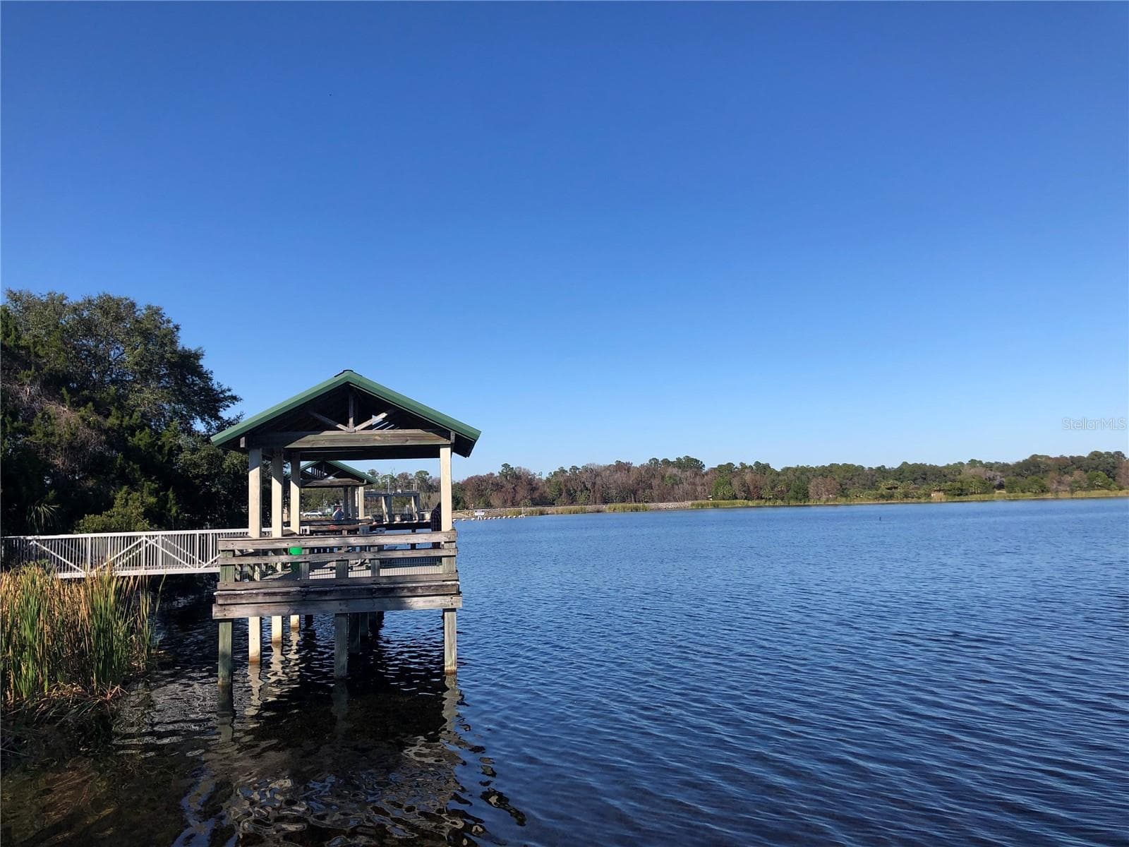 SPECTACULAR LAKE ROUSSEAUX FISHING 25 Minutes from property - 7910 SW 202ND CT, DUNNELLON