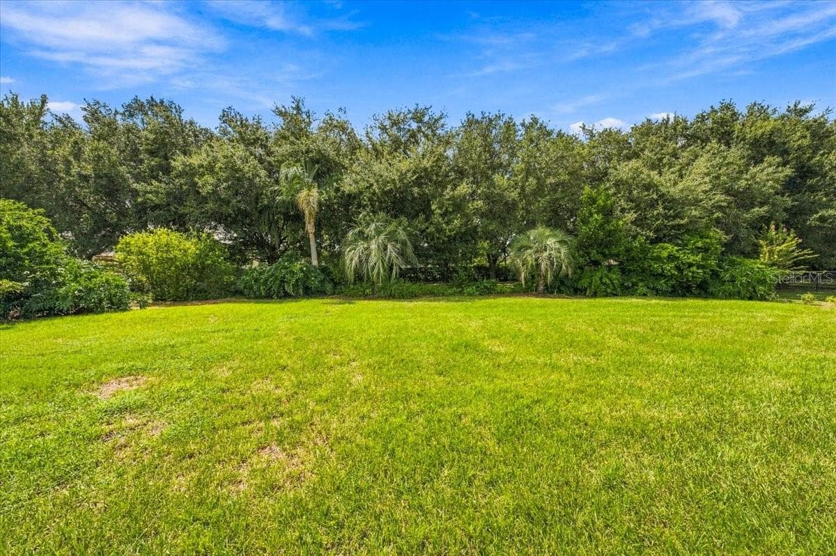 Expansive, fully fenced backyard featuring a lush lawn and mature native trees that provide a private, natural setting. - 5513 KEELER OAK ST, LITHIA