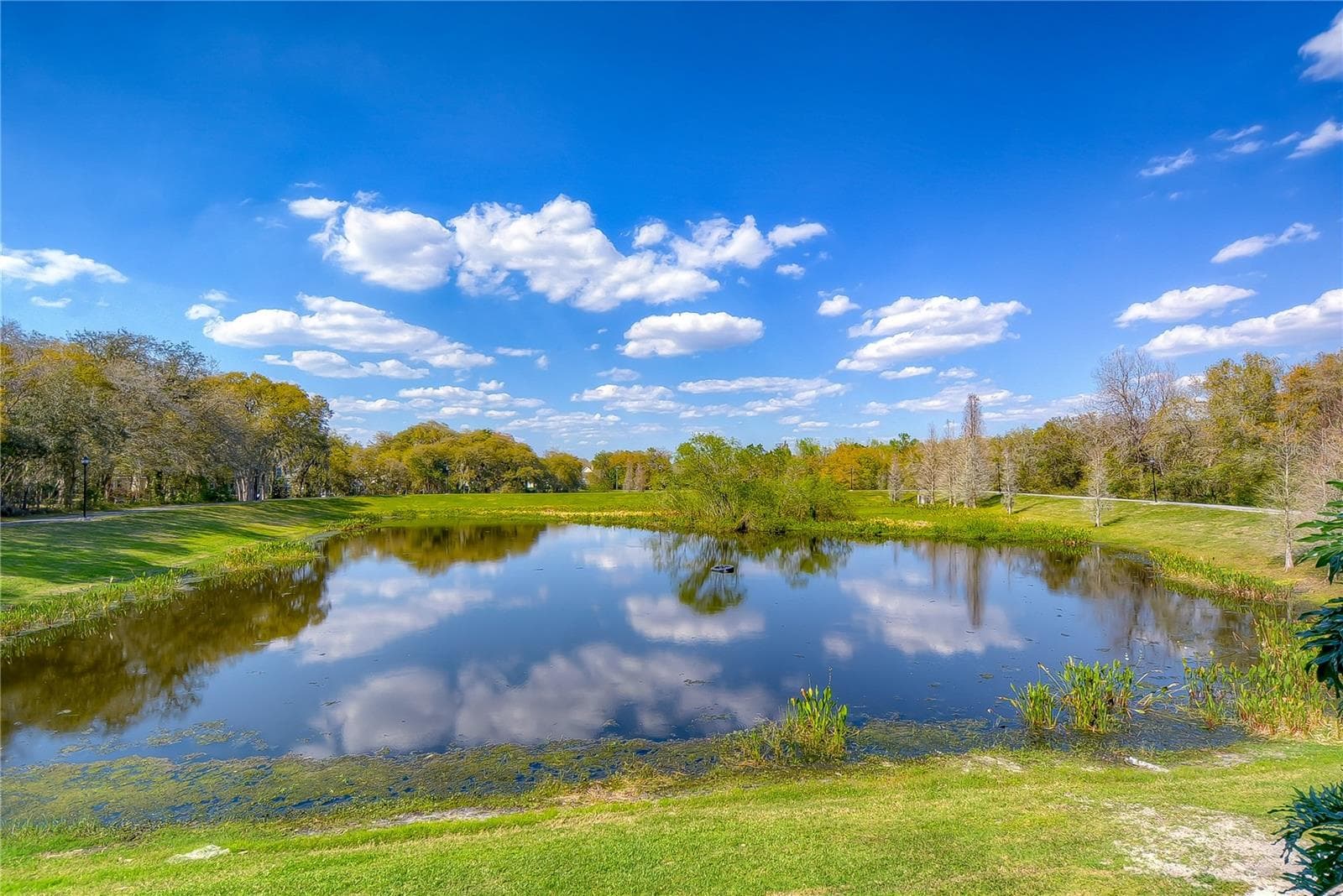 Lake - 5513 KEELER OAK ST, LITHIA