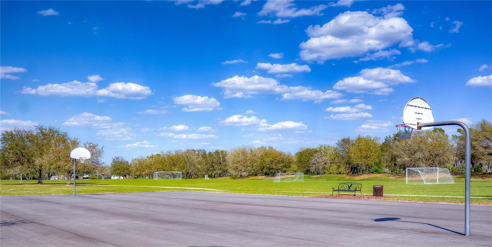 Community basketball facilities provide additional recreational options. - 5513 KEELER OAK ST, LITHIA