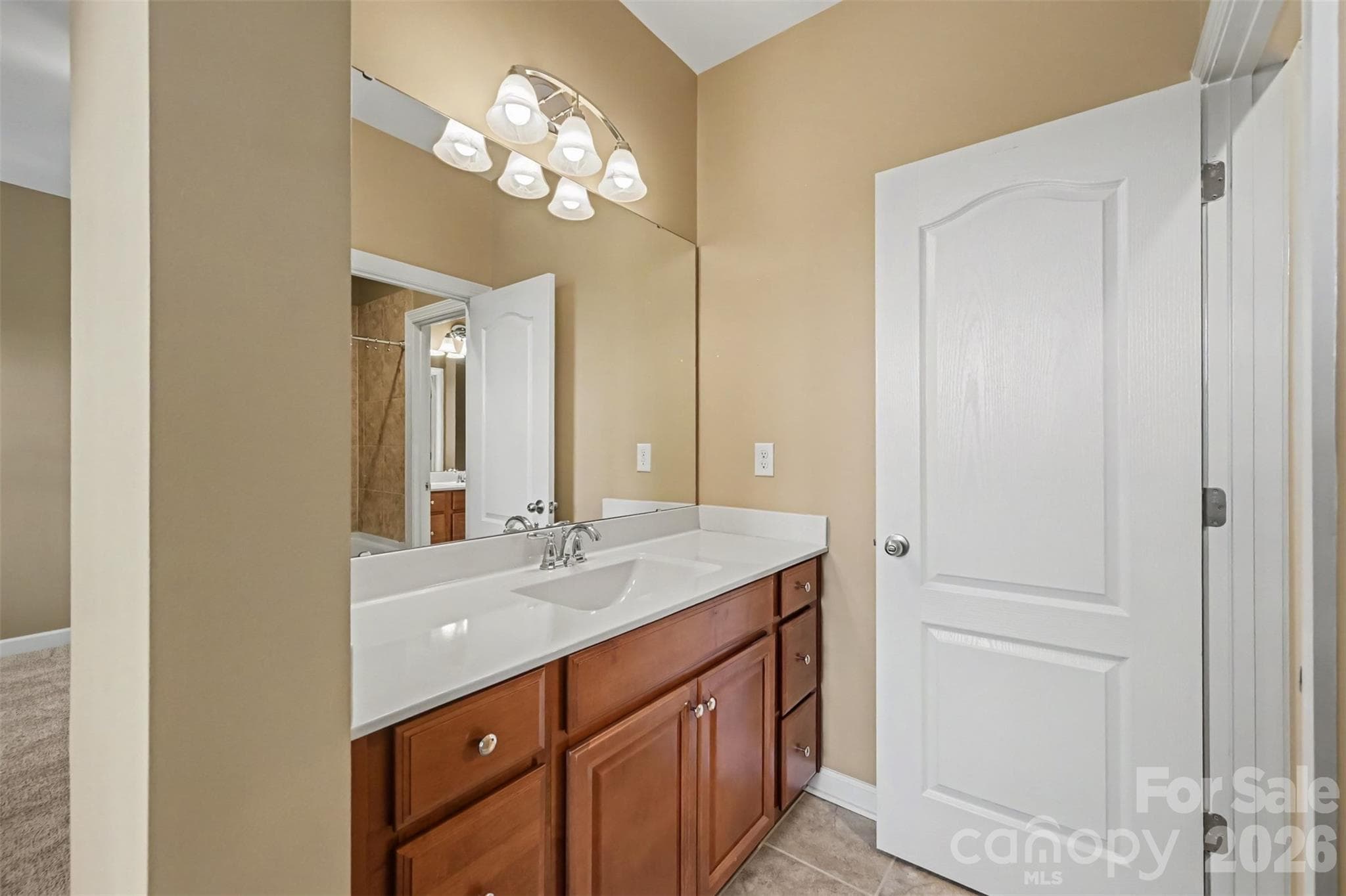 Single Family Residence at 831 Tyne Drive, Fort Mill, photo 23 of 48