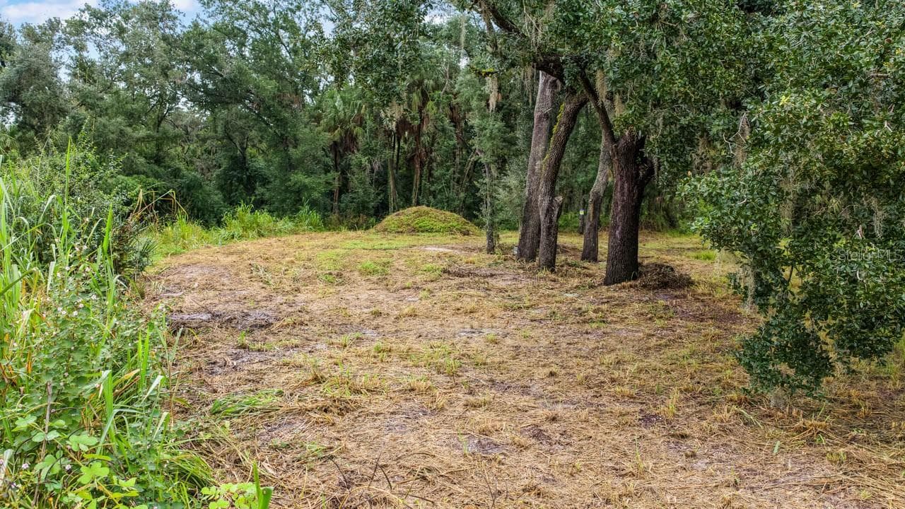 Land at 3106 TIMBERLEE RD, WIMAUMA, photo 7 of 70