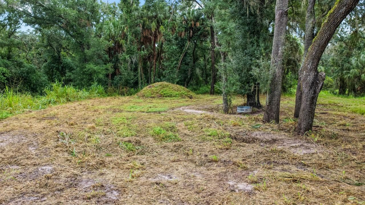Land at 3106 TIMBERLEE RD, WIMAUMA, photo 11 of 70