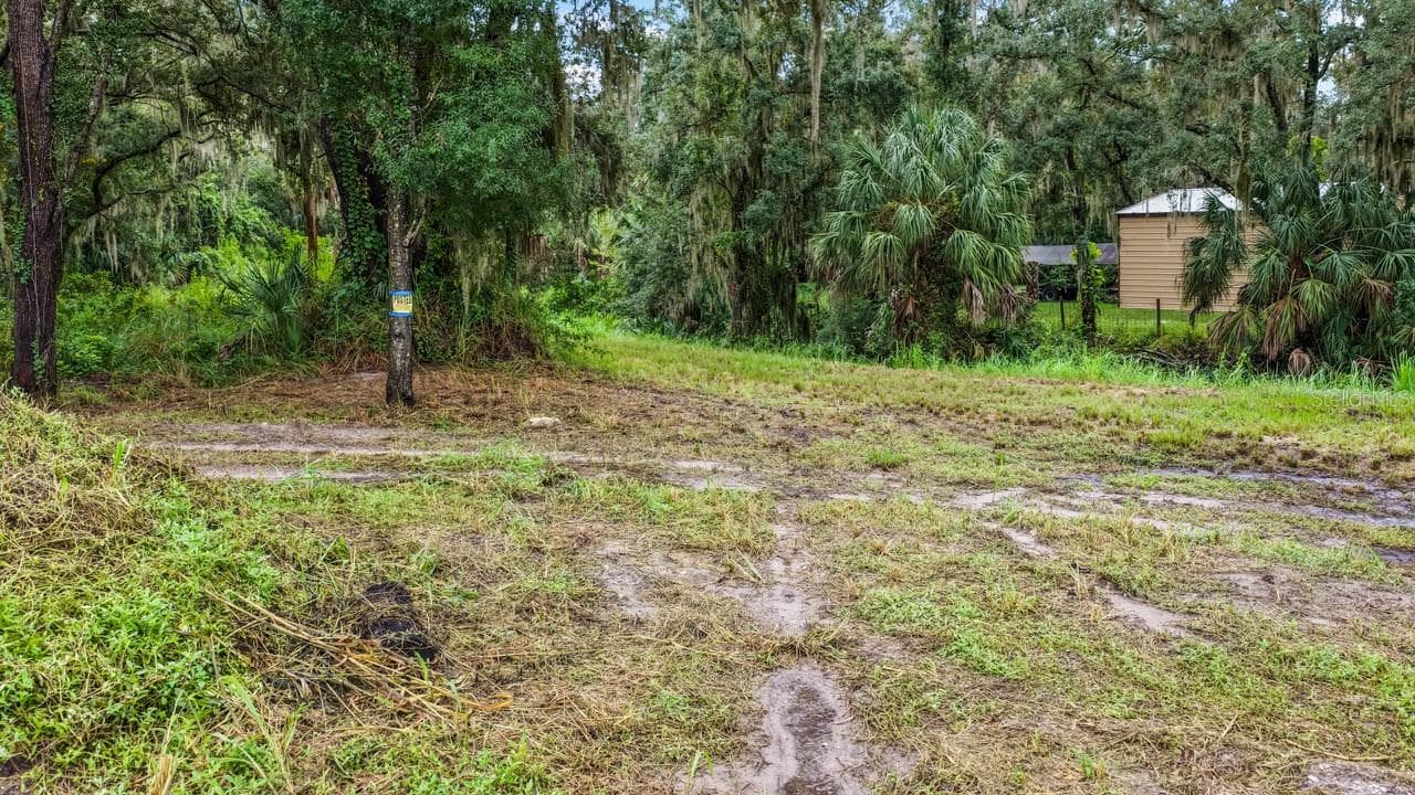 Land at 3106 TIMBERLEE RD, WIMAUMA, photo 19 of 70