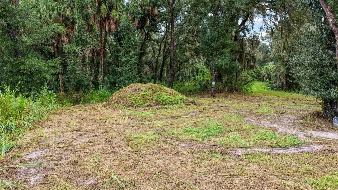 Land at 3106 TIMBERLEE RD, WIMAUMA, photo 20 of 70