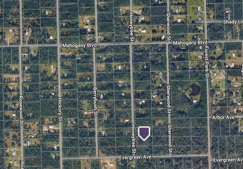 Land at 1823 HONEYTREE ST, BUNNELL, photo 2 of 2