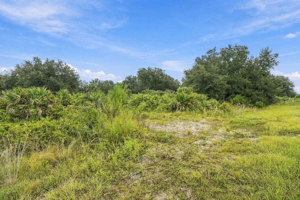 Land at 16857 NW 274TH ST, OKEECHOBEE, photo 2 of 9