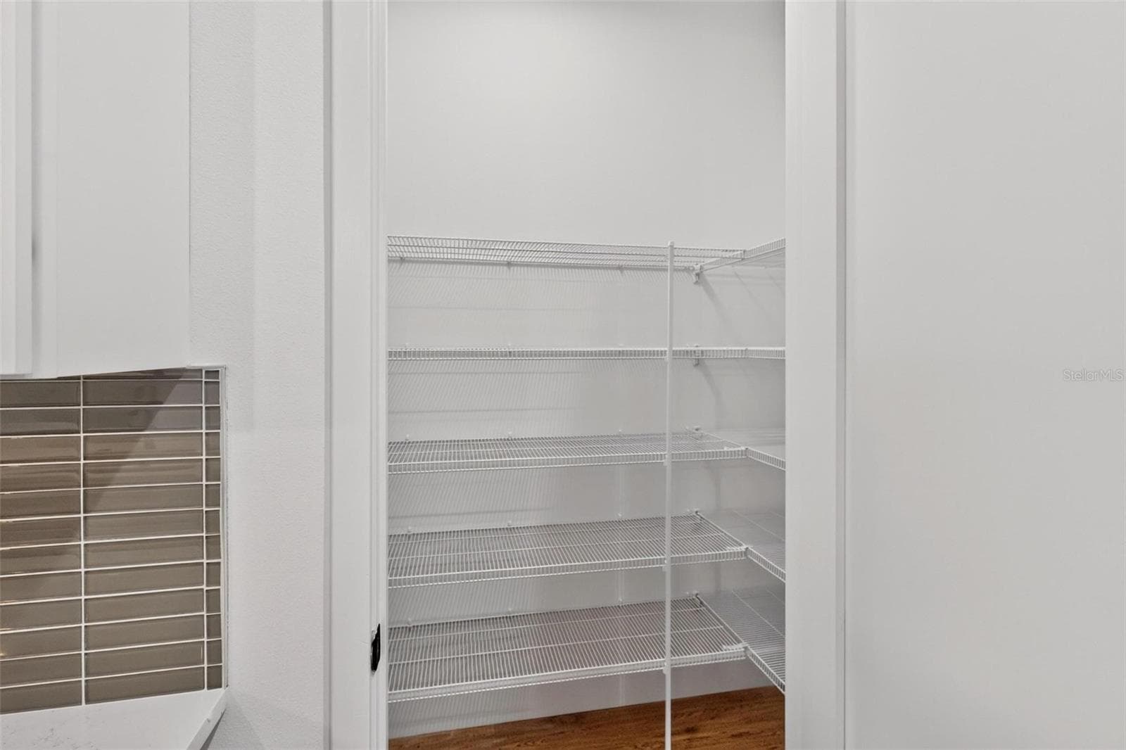Kitchen Pantry - 381 CARRIAGE LN, LADY LAKE