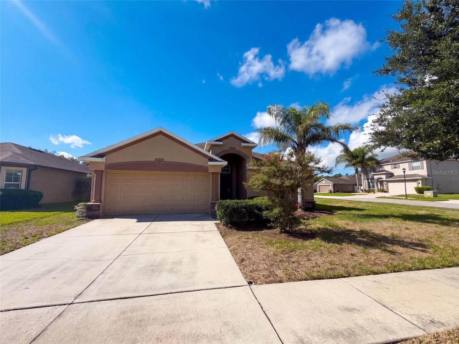 10080 TOLMAN DR