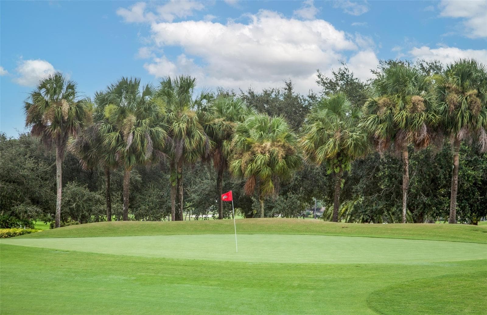 16th green !!! - 810 CARNOUSTIE DR, VENICE