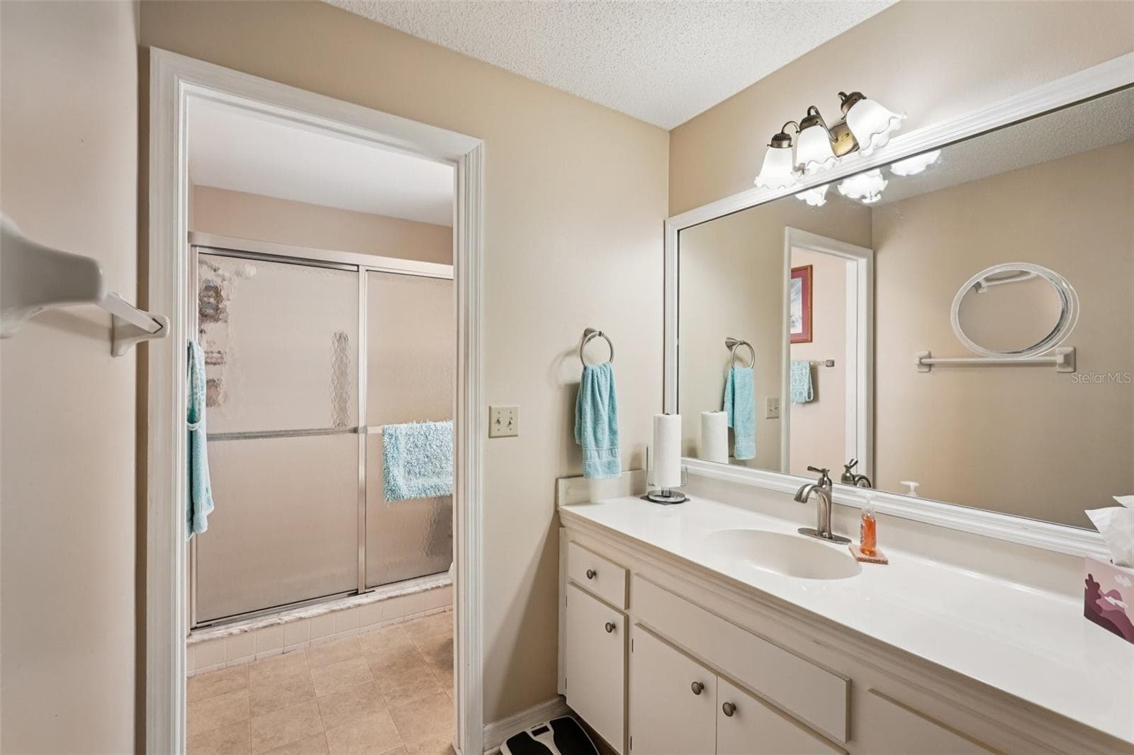 Single Family Residence at 1805 NEW BEDFORD DR, SUN CITY CENTER, photo 19 of 54
