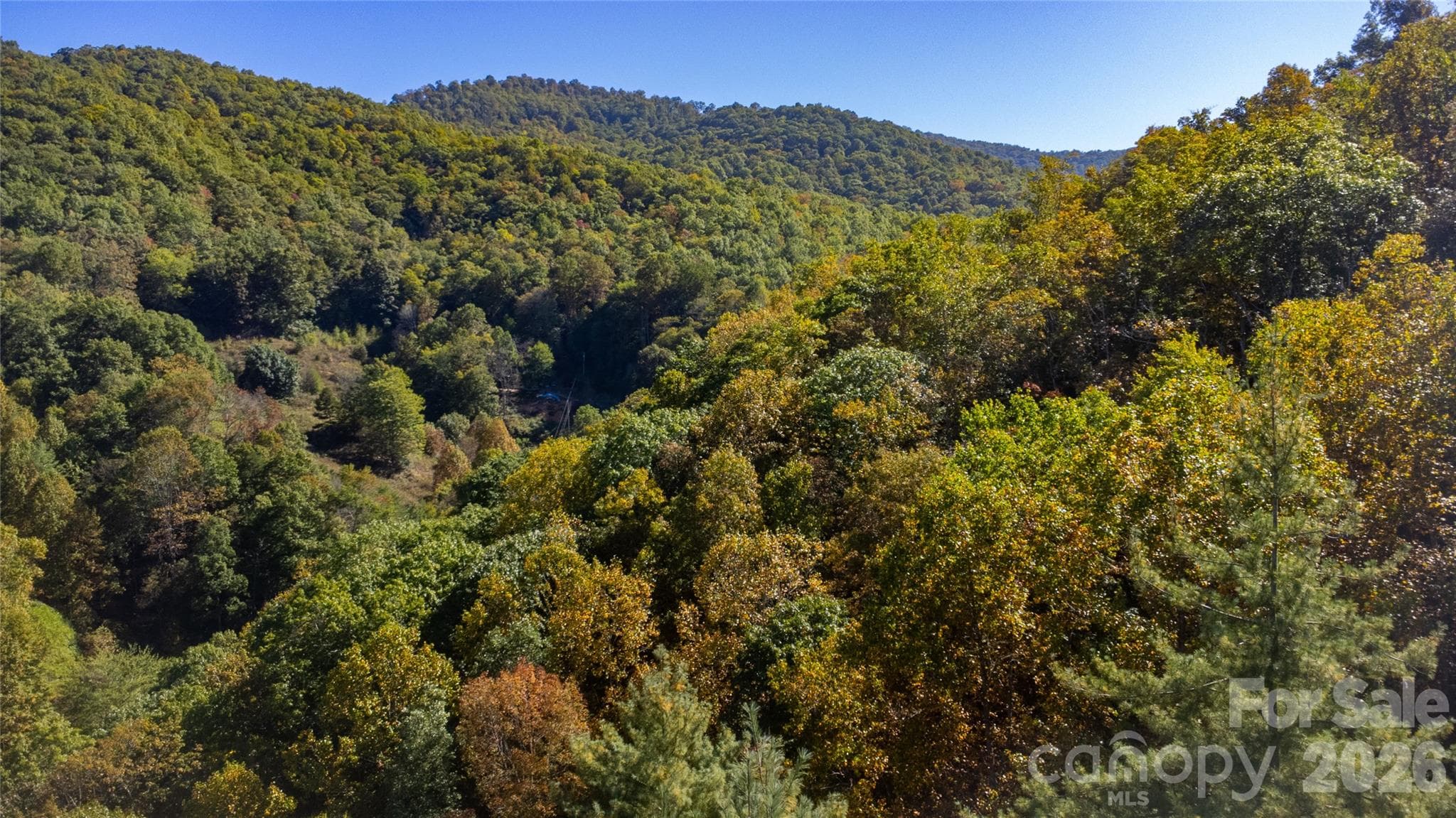 Acreage at 8888 Pumpkintown Road, Sylva, photo 10 of 15