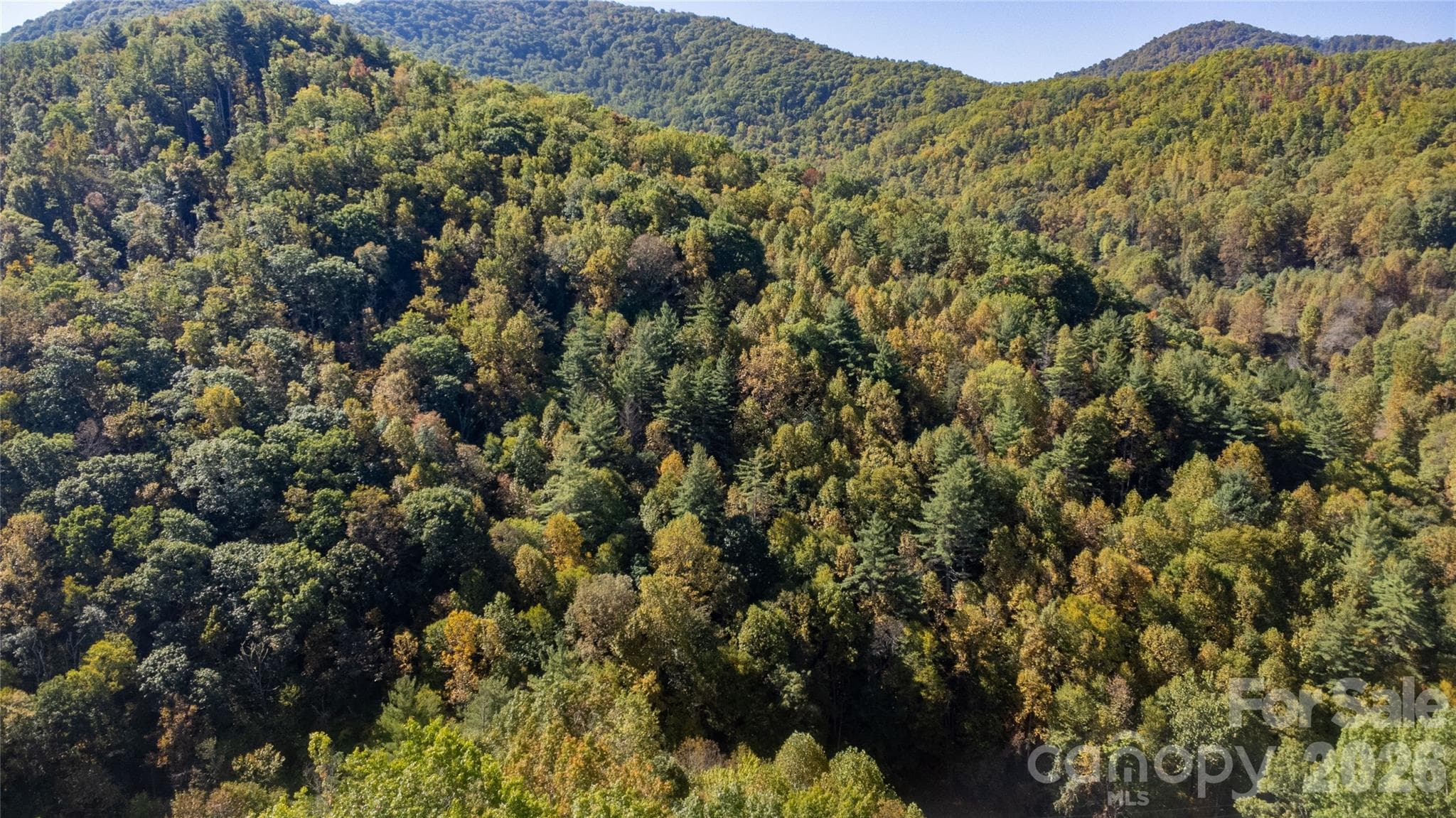 Acreage at 8888 Pumpkintown Road, Sylva, photo 11 of 15
