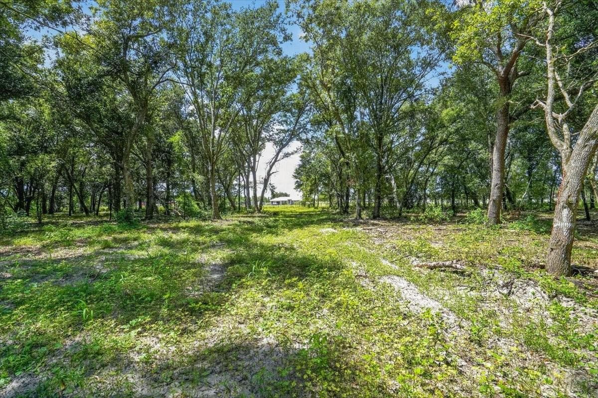 Land at VERNA BETHANY RD, MYAKKA CITY, photo 7 of 9