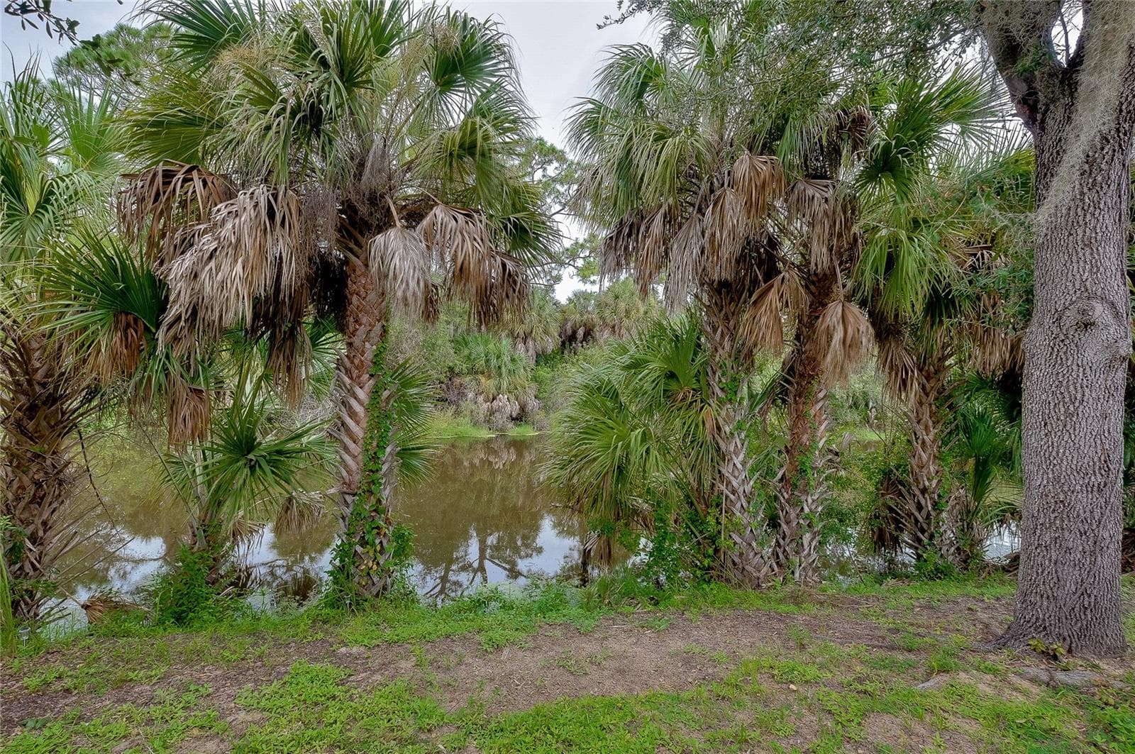 Single Family Residence at 415 KINDRED BLVD, PORT CHARLOTTE, photo 59 of 67