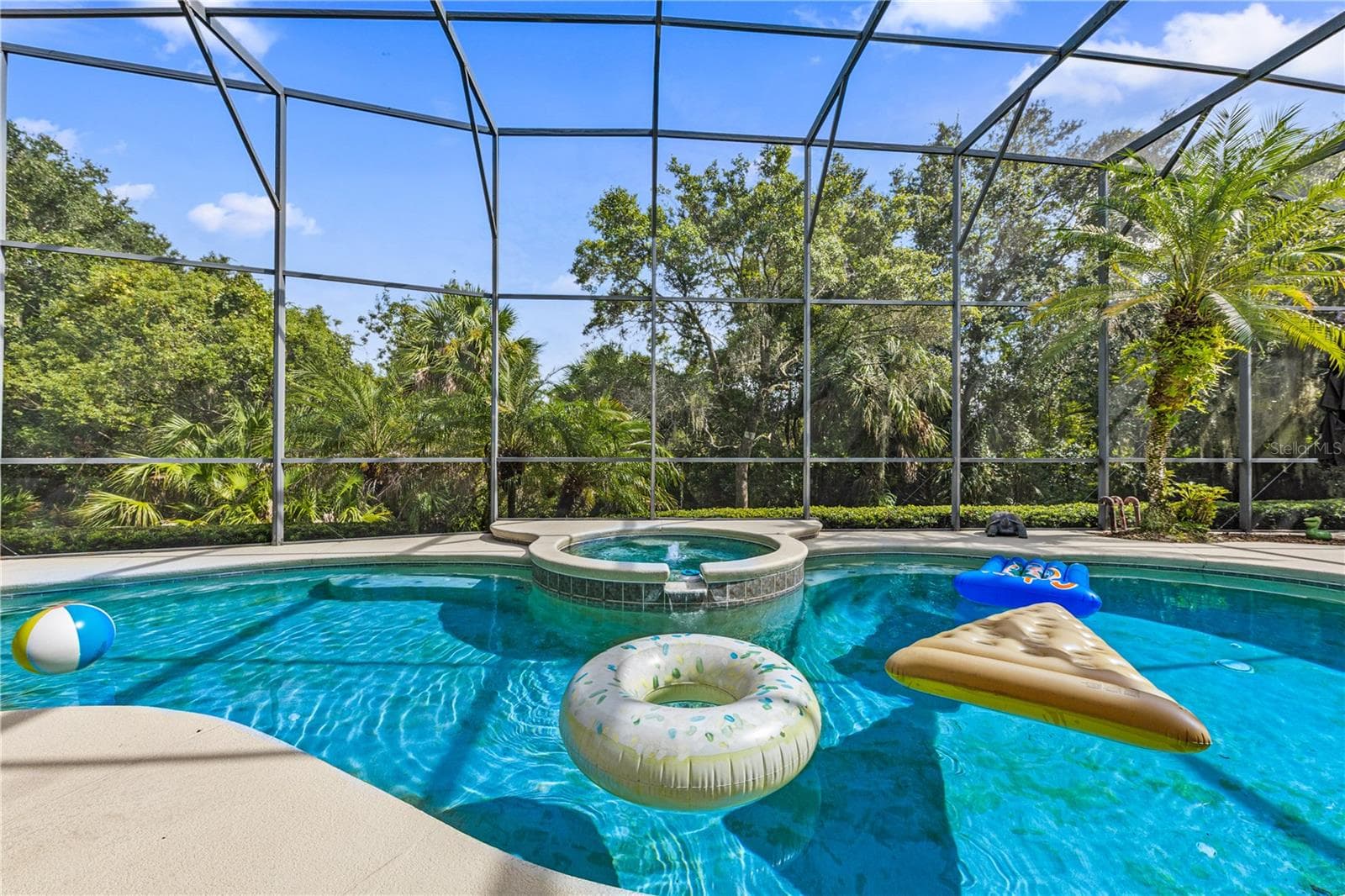 POOL W SCREENED CAGE - 755 MILLS ESTATE PL, CHULUOTA