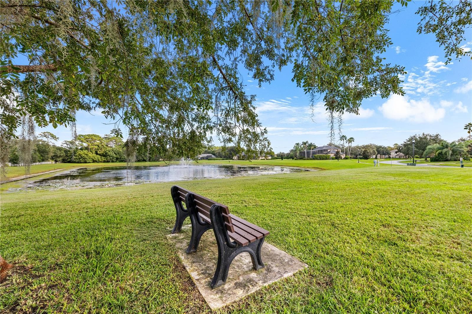 COMMUNITY RECREATION AREA POND AREA - 755 MILLS ESTATE PL, CHULUOTA