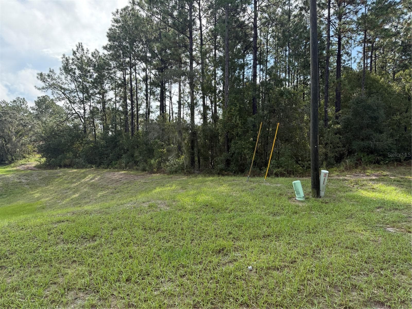 Land at TBD SW 139TH LANE ROAD #12, OCALA, photo 3 of 4