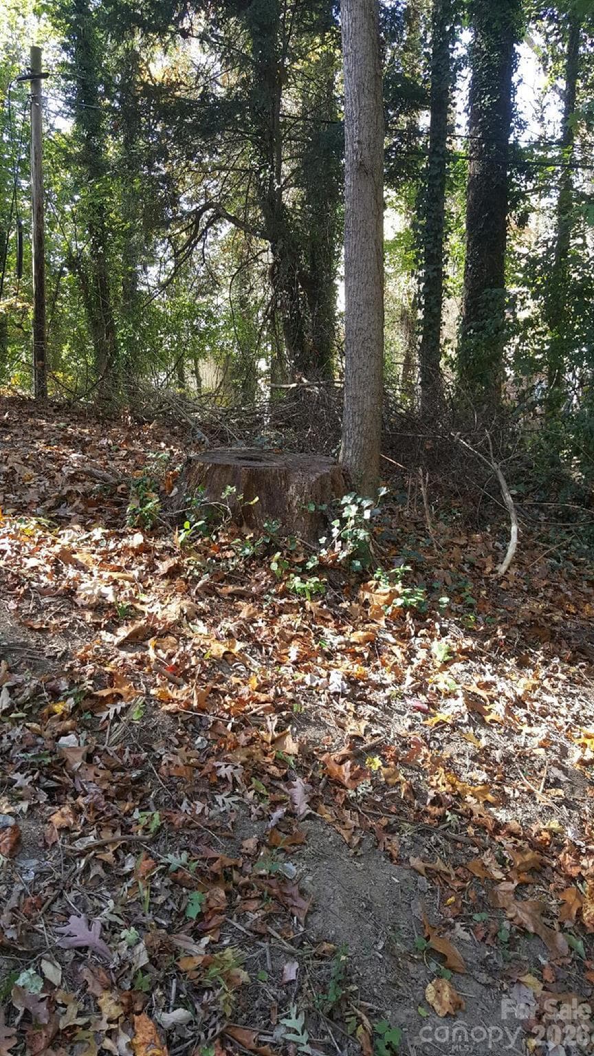 Lot at 30 Fern Street, Asheville, photo 2 of 2