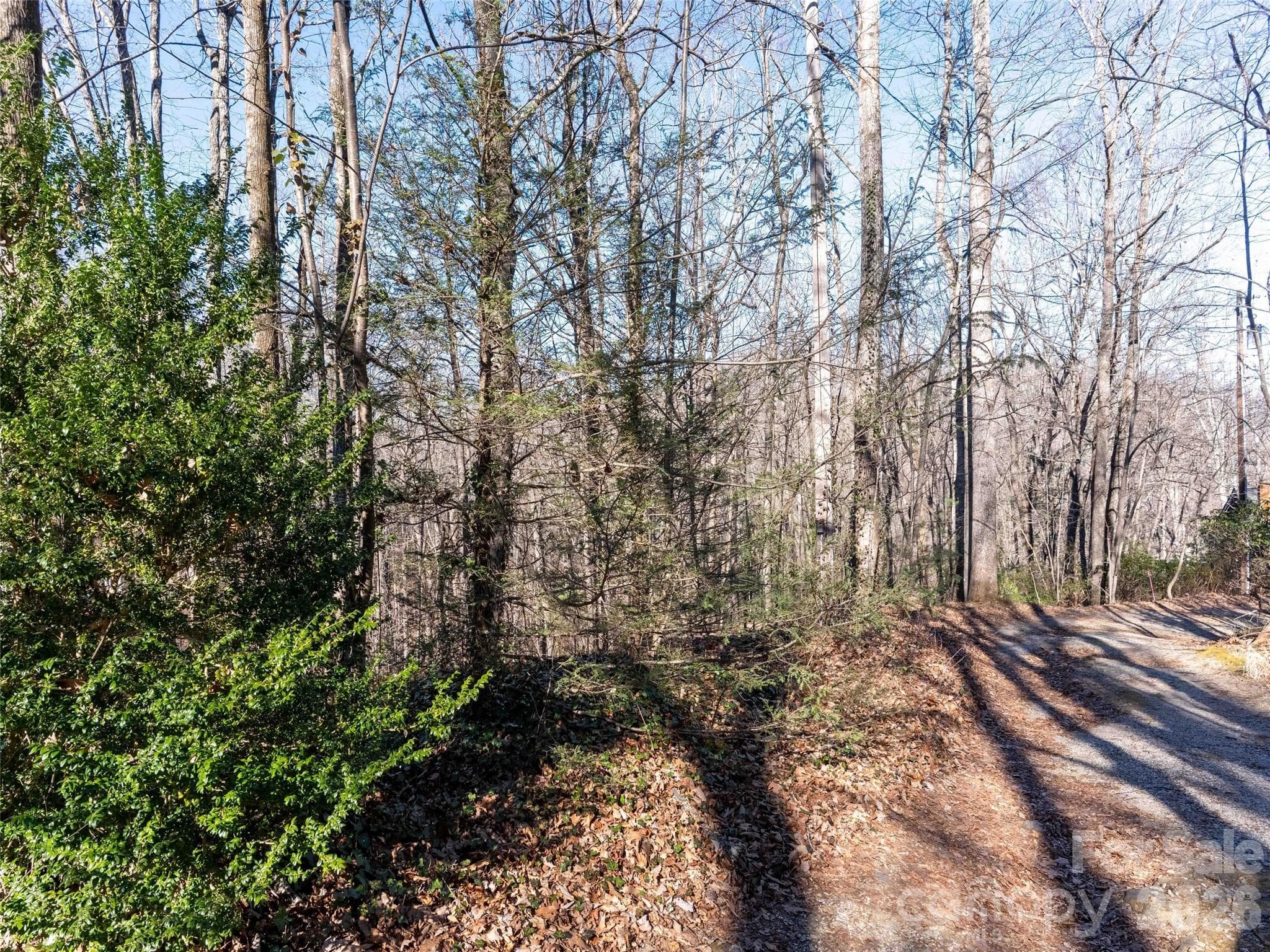 Lot at 00 Mountain Page Road, Saluda, photo 2 of 84