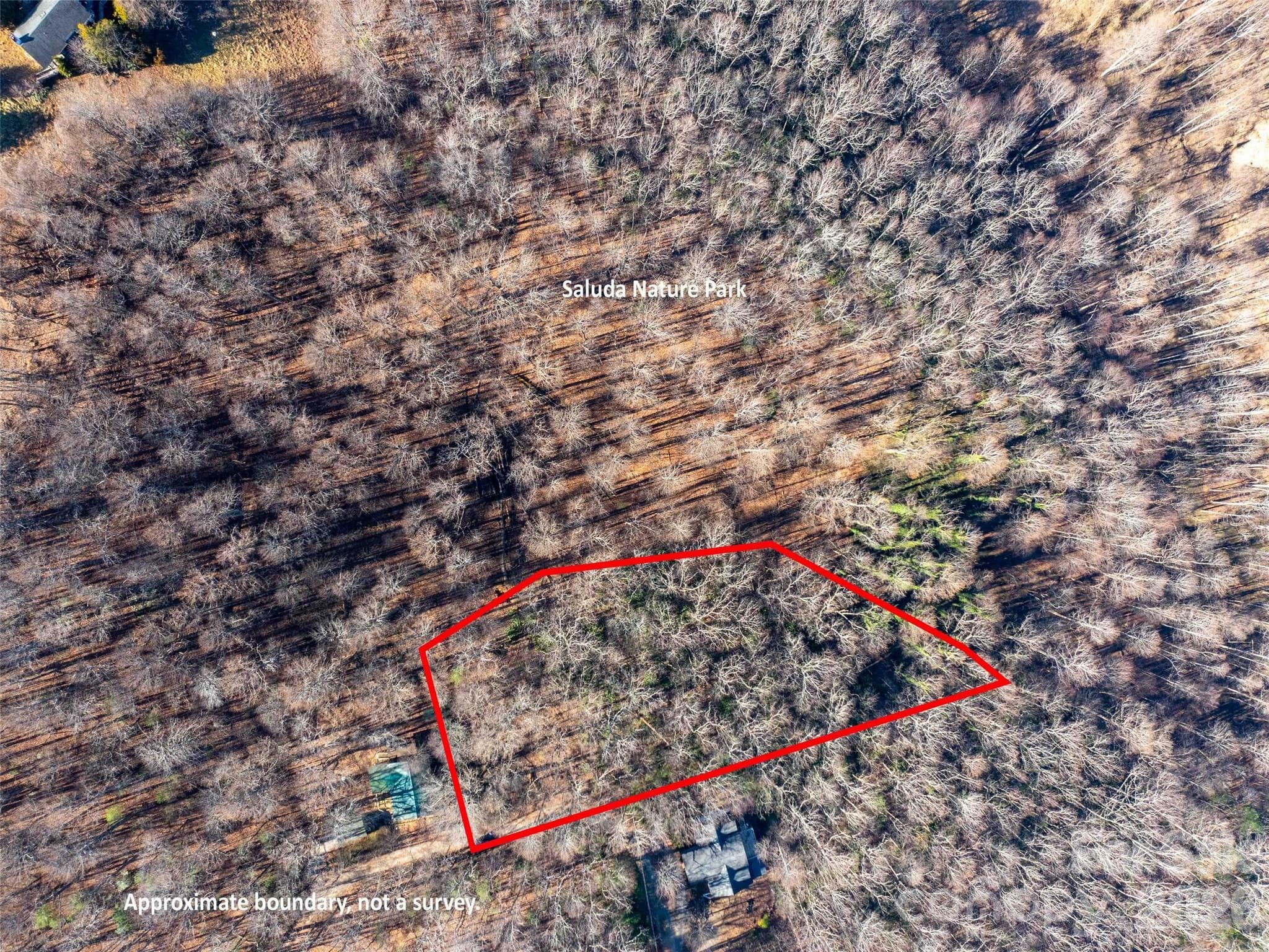 Lot at 00 Mountain Page Road, Saluda, photo 6 of 84