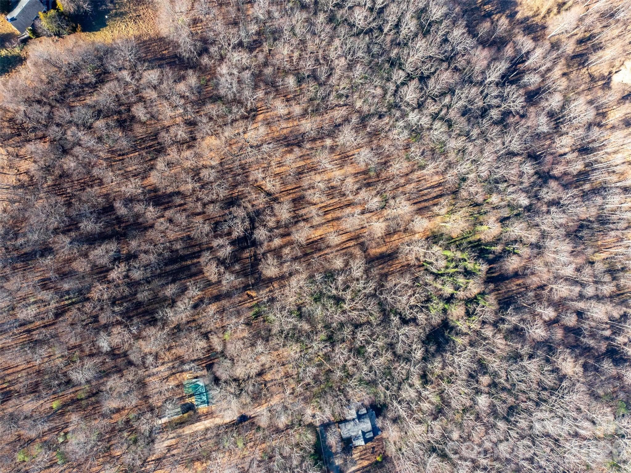 Lot at 00 Mountain Page Road, Saluda, photo 8 of 84