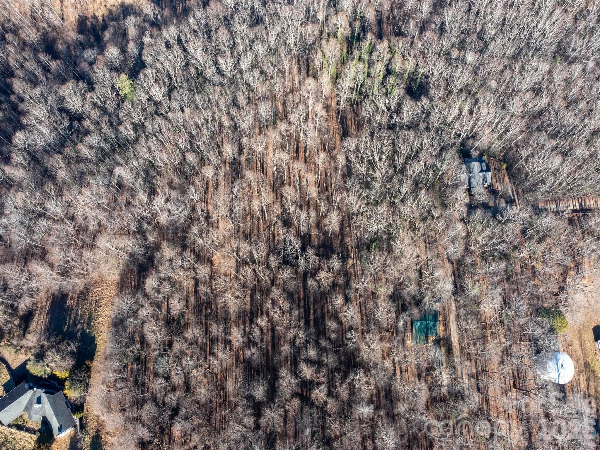 Lot at 00 Mountain Page Road, Saluda, photo 12 of 84