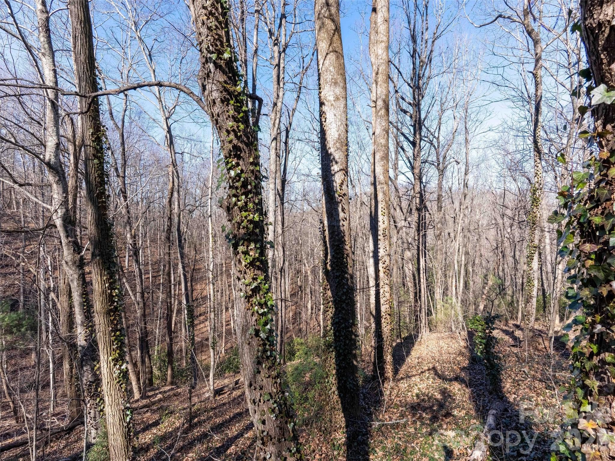 Lot at 00 Mountain Page Road, Saluda, photo 20 of 84
