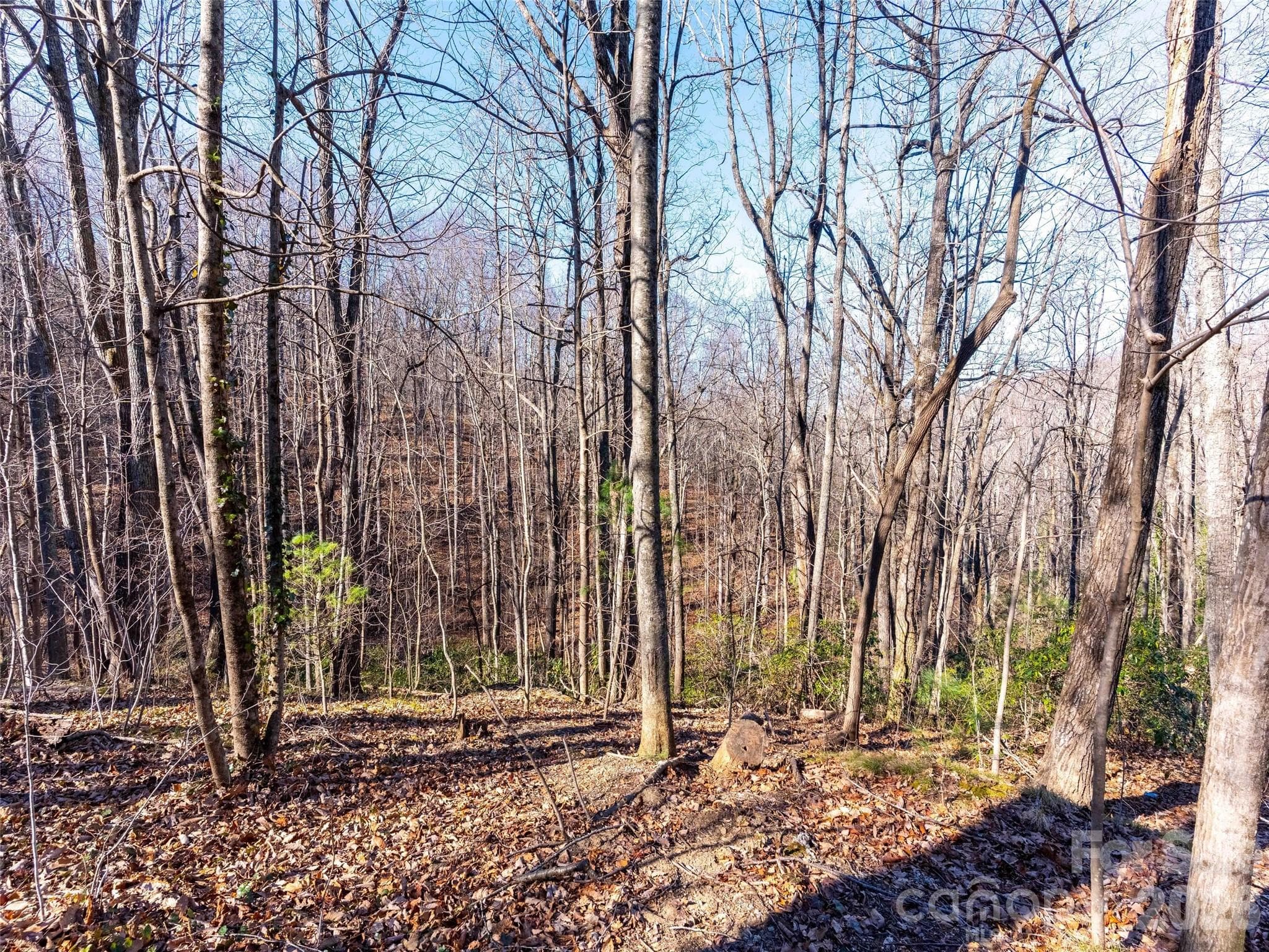 Lot at 00 Mountain Page Road, Saluda, photo 22 of 84