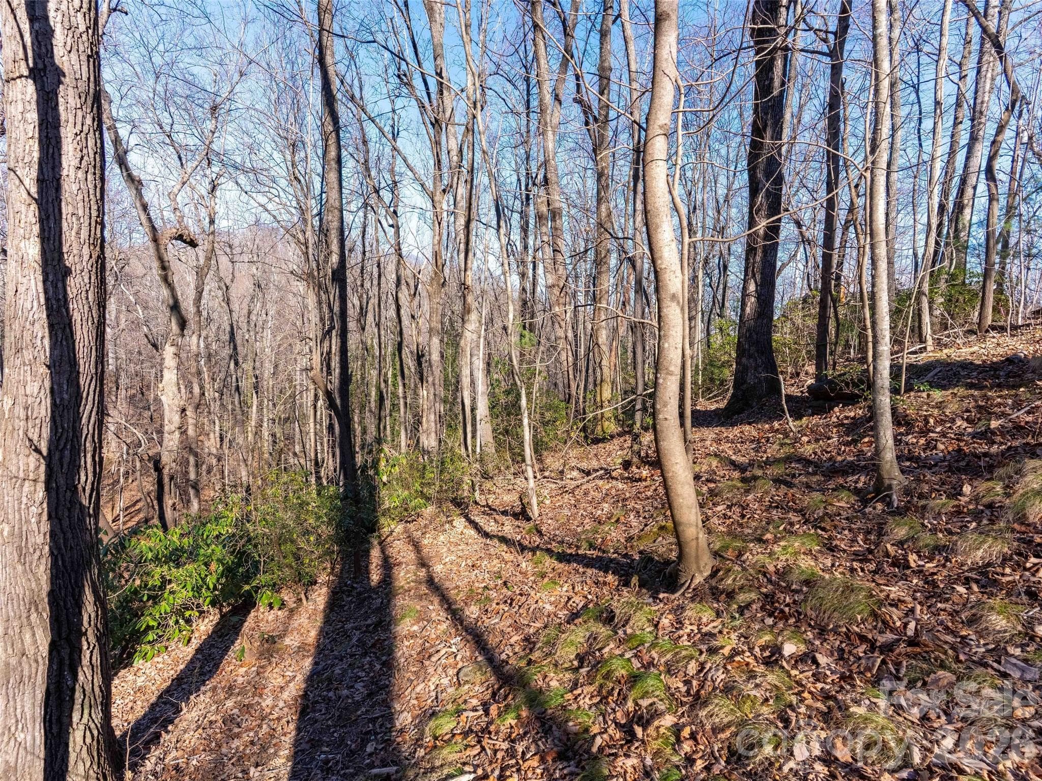 Lot at 00 Mountain Page Road, Saluda, photo 24 of 84