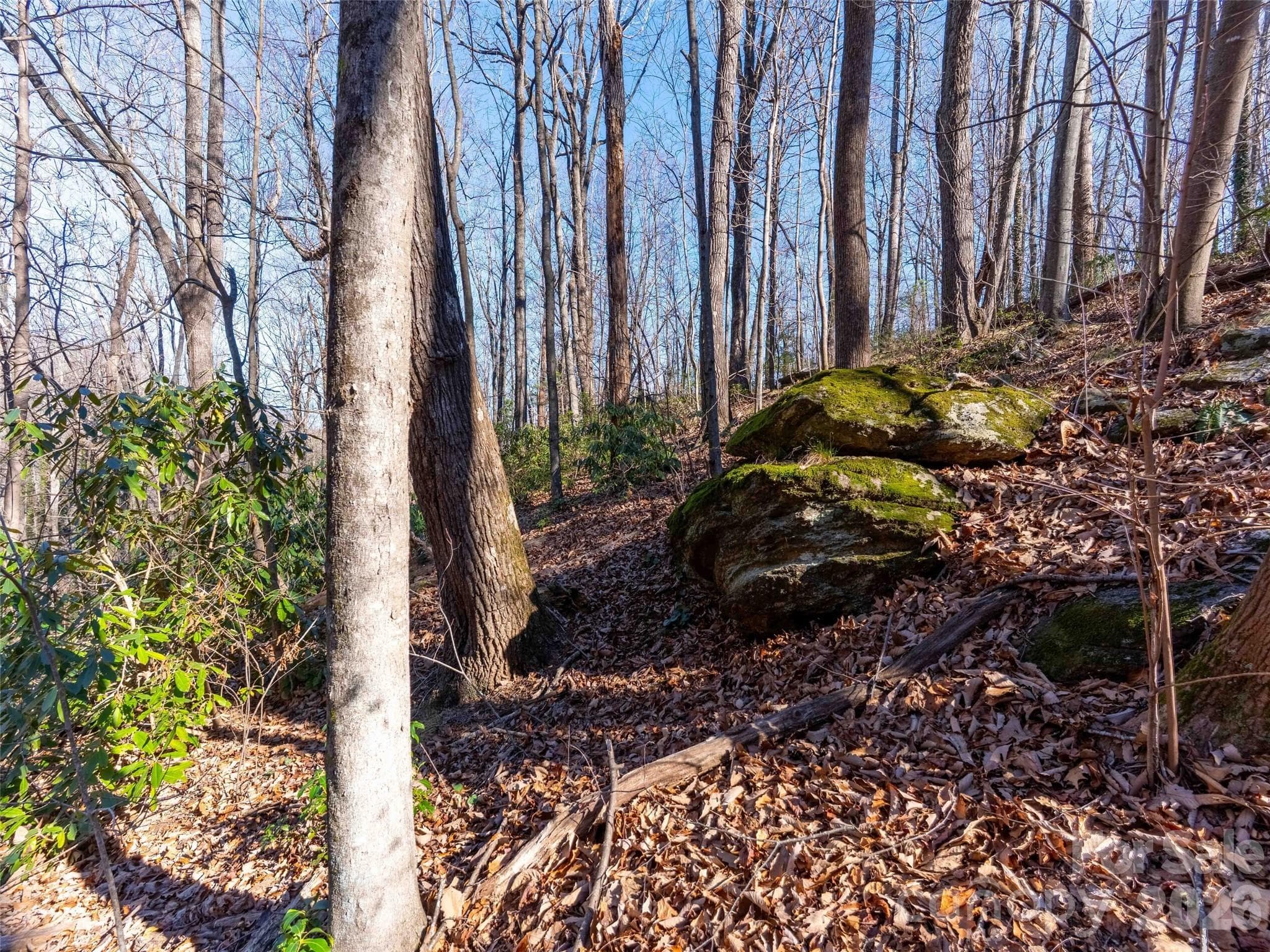 Lot at 00 Mountain Page Road, Saluda, photo 26 of 84