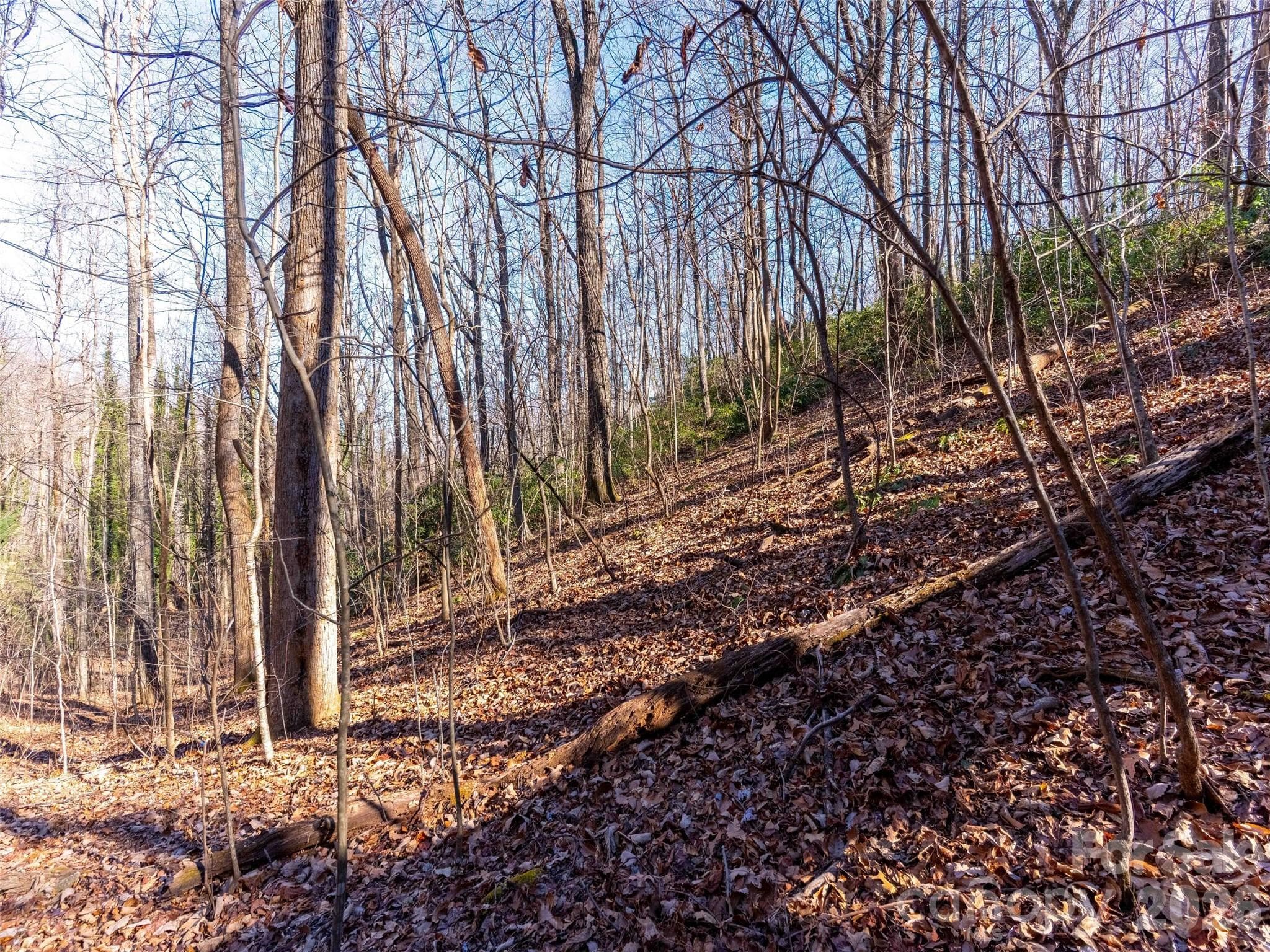 Lot at 00 Mountain Page Road, Saluda, photo 28 of 84