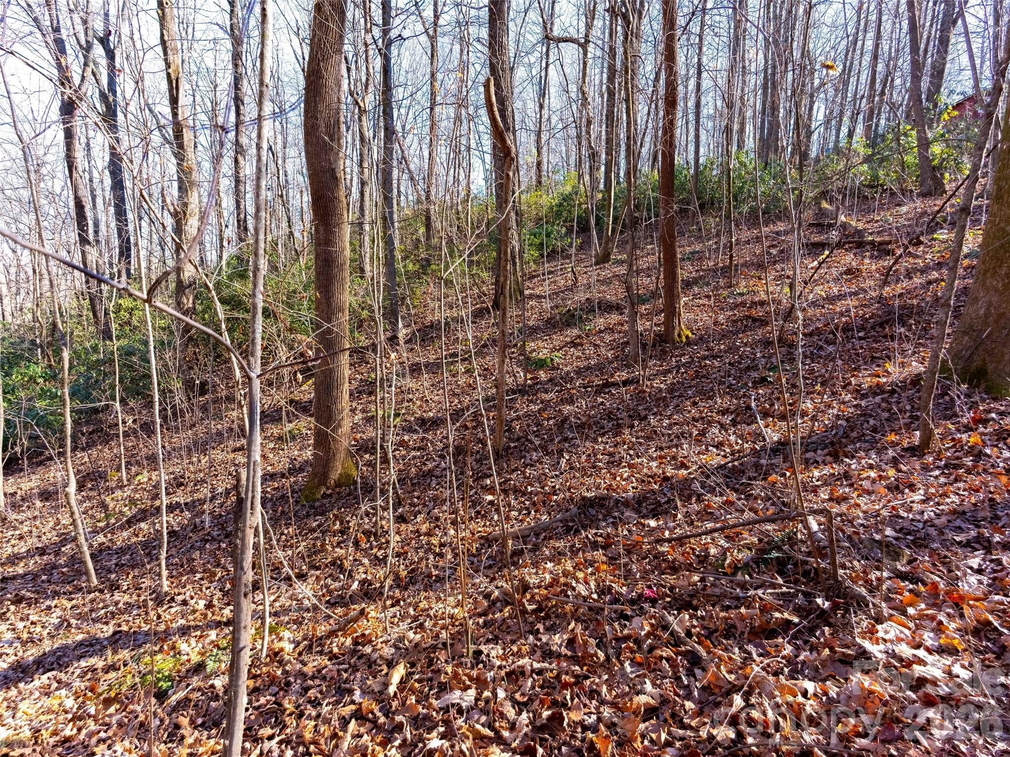 Lot at 00 Mountain Page Road, Saluda, photo 30 of 84